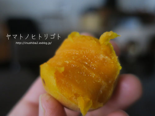 梅干(塩漬け) 第2弾_e0394031_06343609.jpg