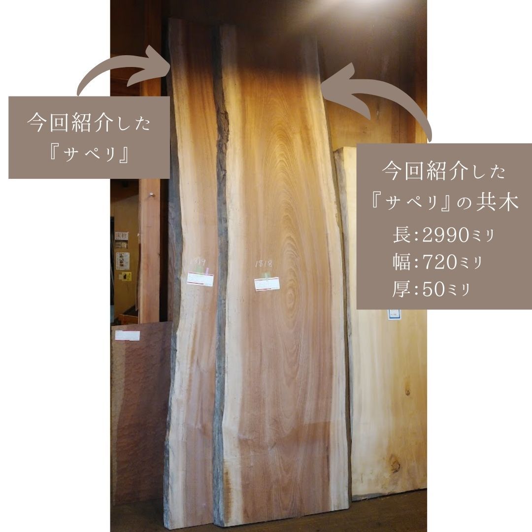 今週の一枚板『サペリ』_b0211845_16441752.jpg