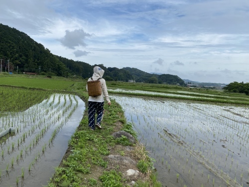 糸島 銀河荘探訪記_f0176370_10091680.jpg