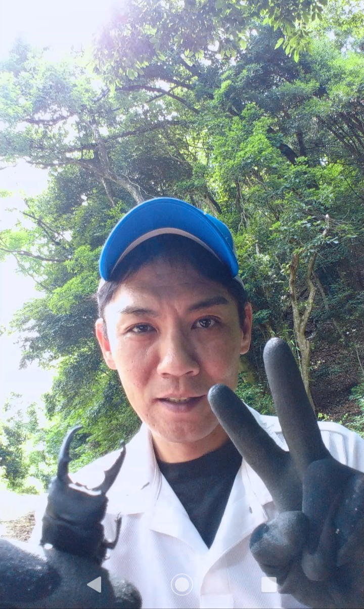 近畿からも大型ヒラタがついに クワガタ採集報告 奈良県u様より くわがた散歩道