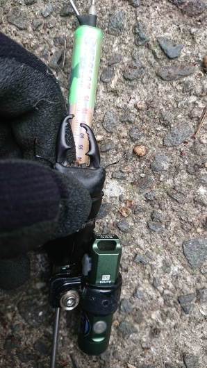 近畿からも大型ヒラタがついに クワガタ採集報告 奈良県u様より くわがた散歩道