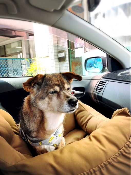 本日定休日です^_^_d0132688_17193120.jpg