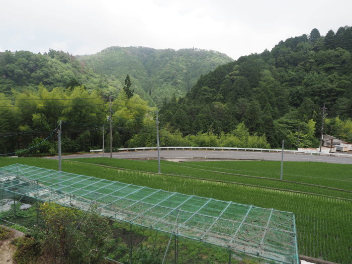 曇り時々晴れのち晴れ_c0116915_00001635.jpg