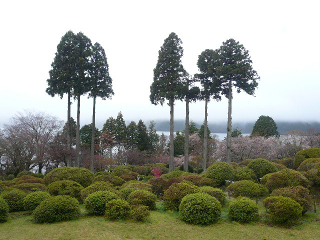 箱根 山のホテル_e0237625_16554900.jpg