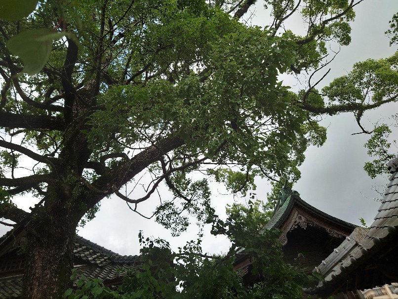 豊玉姫神社の天満宮に合格のお礼参り_b0098228_19080740.jpg