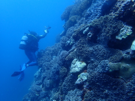 ２２．６．２３　最高の海日和つづいてます。_b0100730_20095568.jpg