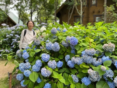 「あじさい霧島の恵を訪ねる旅」_b0137969_06275877.jpg