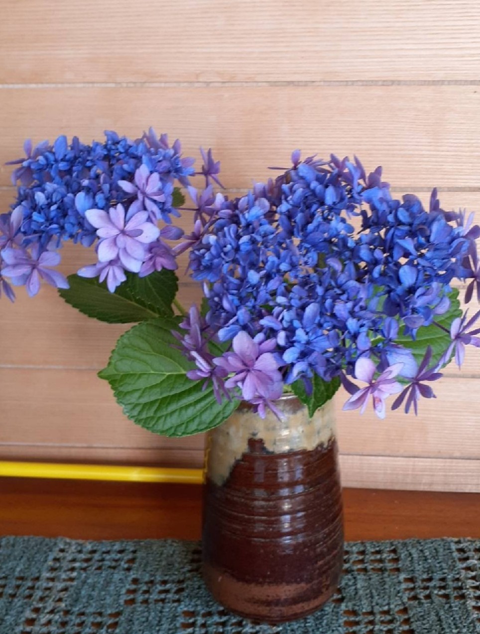 植物の浄化力と循環***_e0290872_21314229.jpg