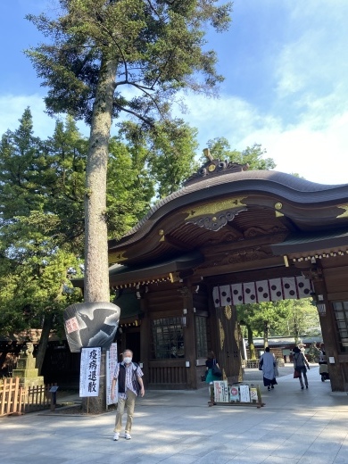 夏至：大國魂神社_c0192202_16001635.jpg