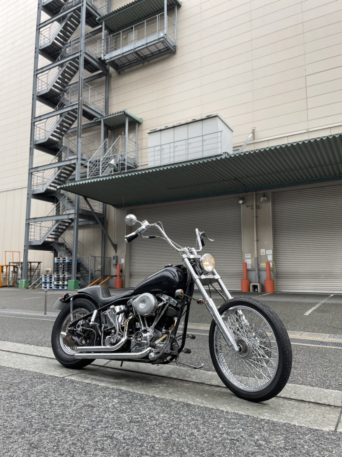 \'77 Shovelhead Rigid_b0160319_16454588.jpg