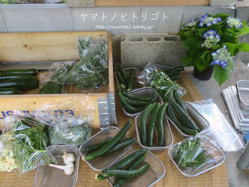 最近食べたもの【小満】②_e0394031_06255808.jpg