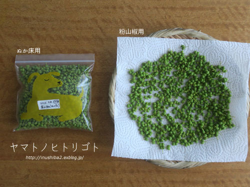 最近食べたもの【小満】②_e0394031_06260601.jpg