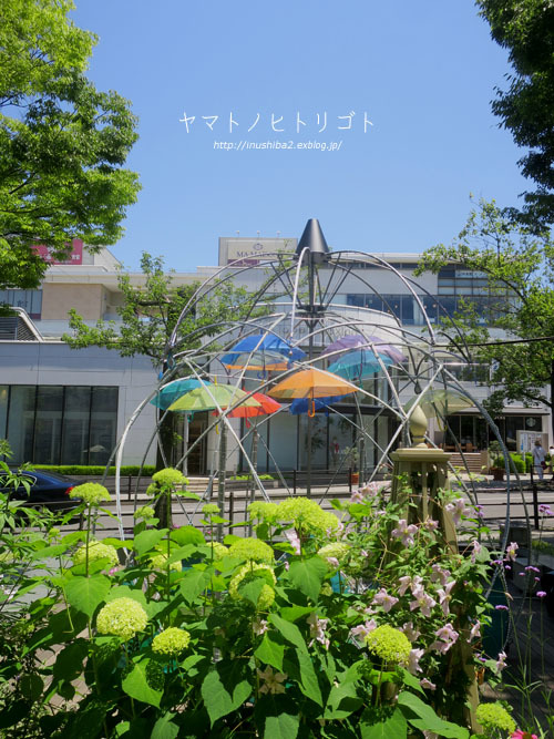 最近食べたもの【小満】②_e0394031_06261106.jpg