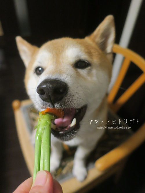 最近食べたもの【小満】②_e0394031_06264158.jpg