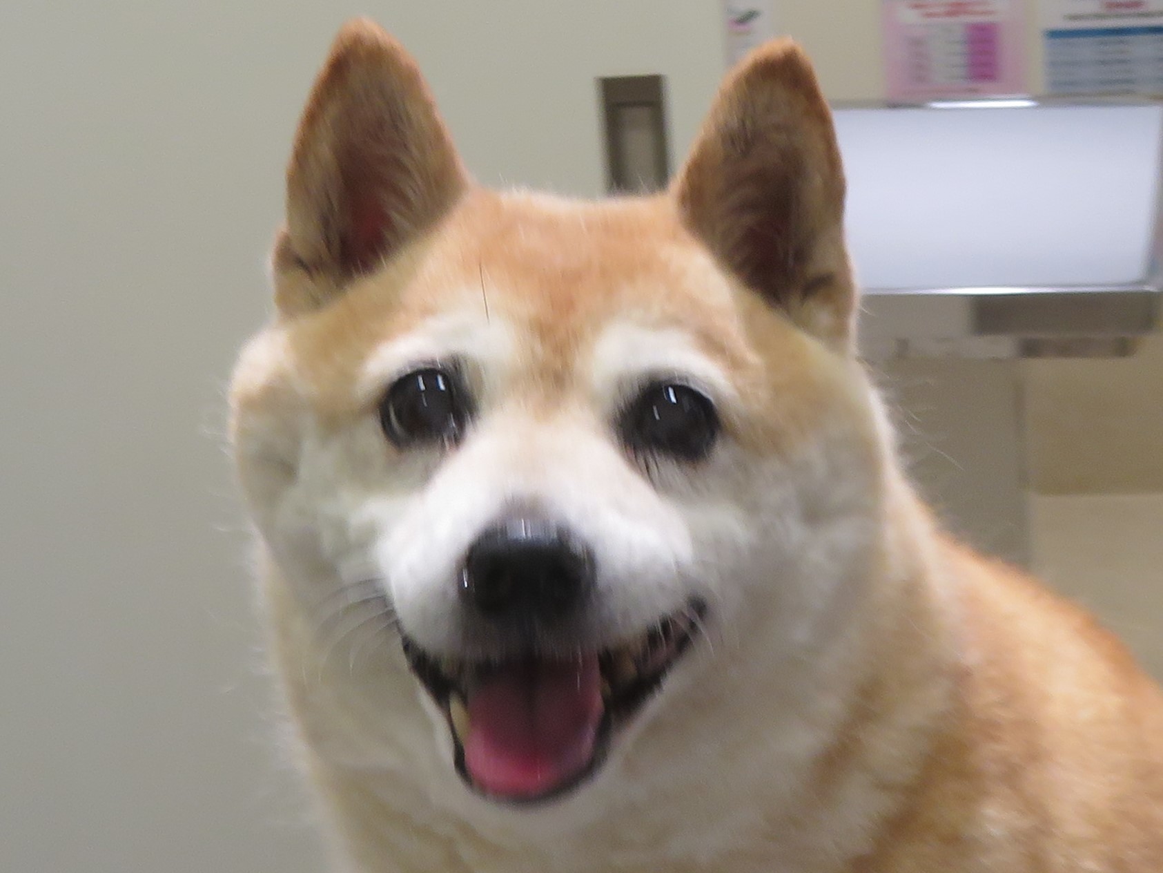 6月 24日の写真_c0174644_14171063.jpg