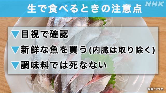 【生魚は要注意‼️】増えるアニサキス症_b0009849_12514352.jpeg