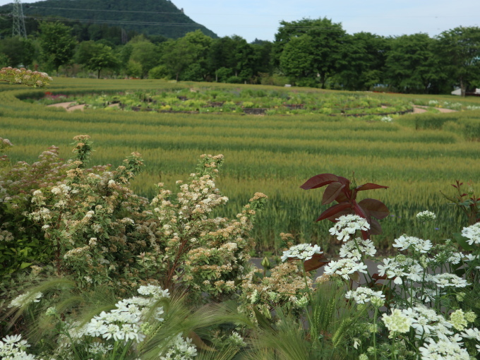 添乗員気分で同行させていただきましたぁ~！！･････その１_b0331802_00321200.jpg