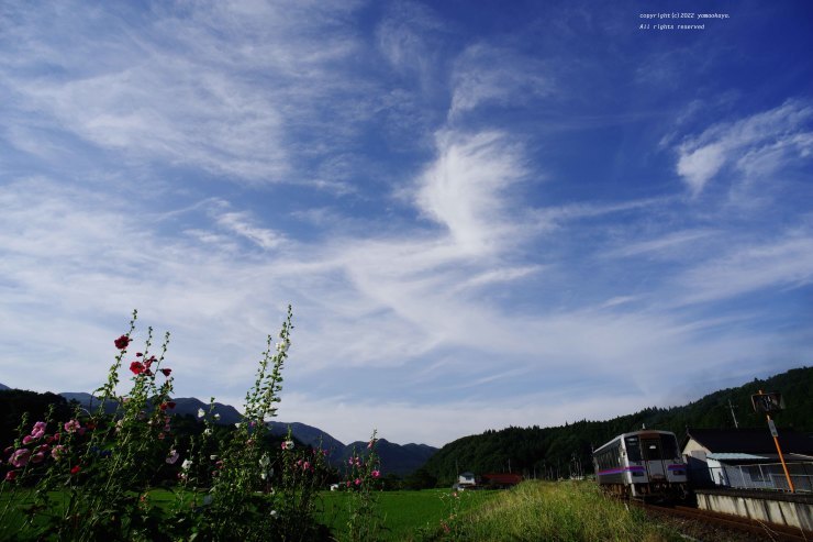 梅雨の間の_d0309612_00171275.jpg