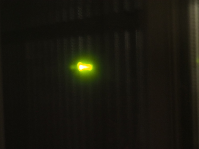 ゲンジボタルが来た!_c0116915_23051249.jpg
