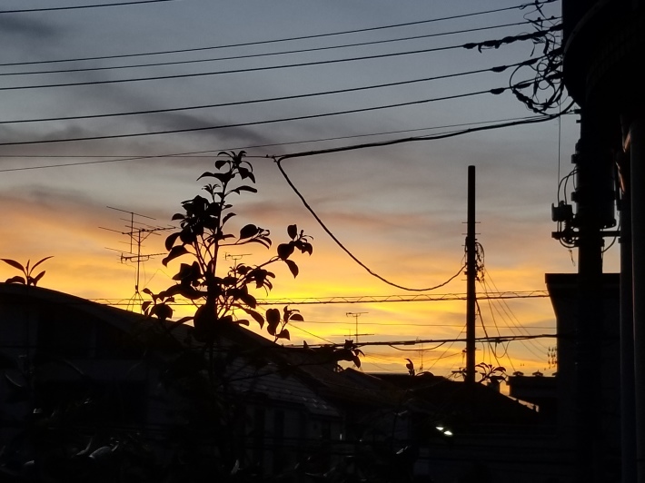 まぐろ_e0016828_12233388.jpg