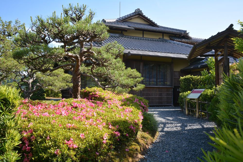 5月頃の3丁目の花_e0373930_18414465.jpg