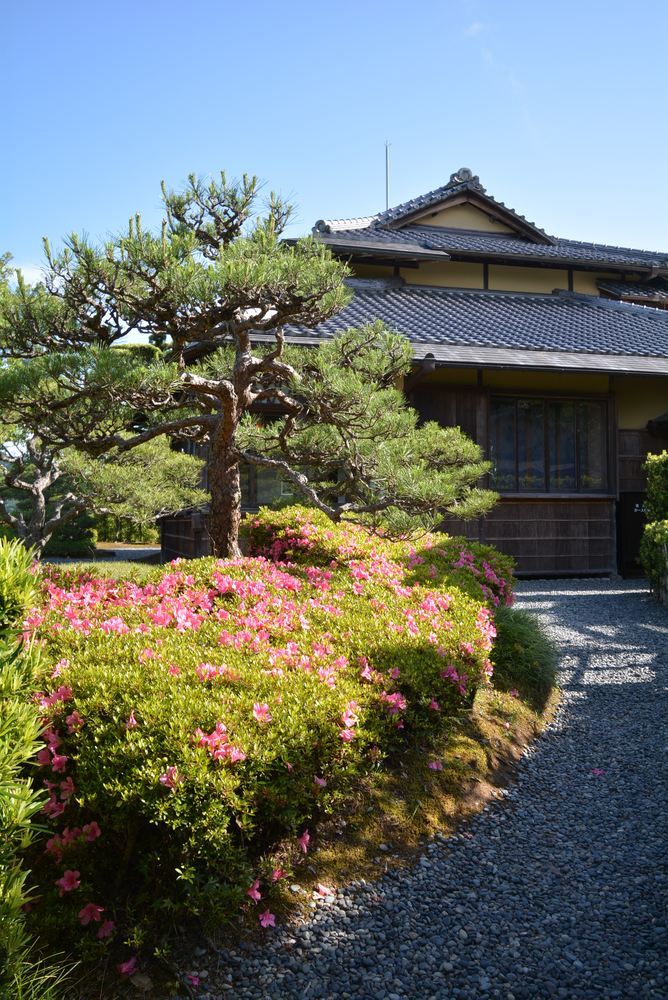 5月頃の3丁目の花_e0373930_18414477.jpg