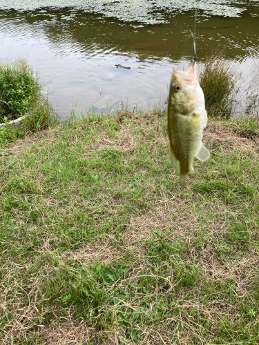 釣り部_b0139489_13152263.jpg
