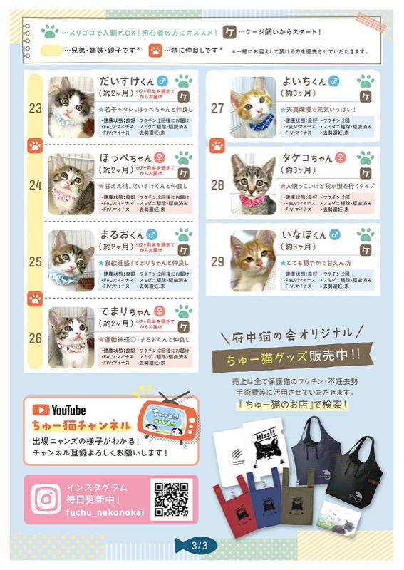 YU。猫　　プロフ確認願 YU。猫 プロフ確認願 猫型初号機☆プロフの確認をお願い致します様