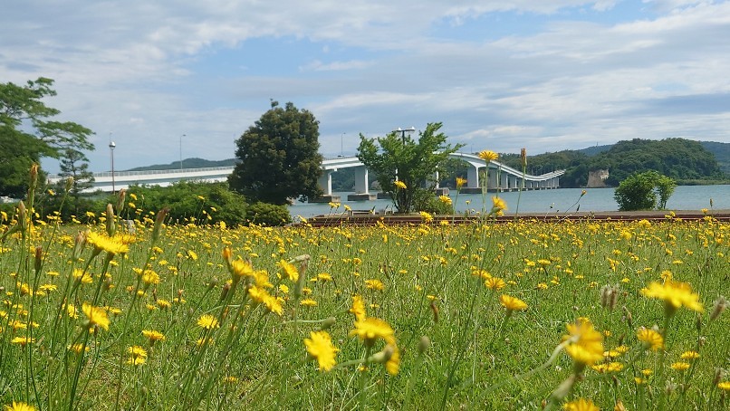 和倉温泉と能登島大橋_b0237229_10081463.jpg