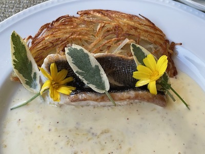 イサキのポワレとお刺身サラダ やせっぽちソプラノのキッチン２