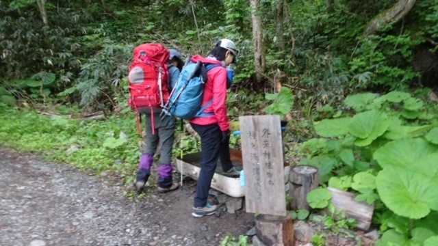 ユウバリソウを見に夕張岳へ行ってきました♪ : 秀岳荘みんなのブログ！！