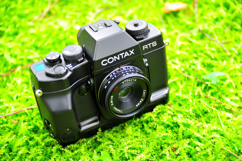 NIKON D3Sで撮る智光山公園_d0394696_23154864.jpg