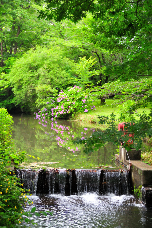NIKON D3Sで撮る智光山公園_d0394696_23171092.jpg