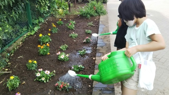 夏の花壇作ってもらいました。_f0334619_16253857.jpg