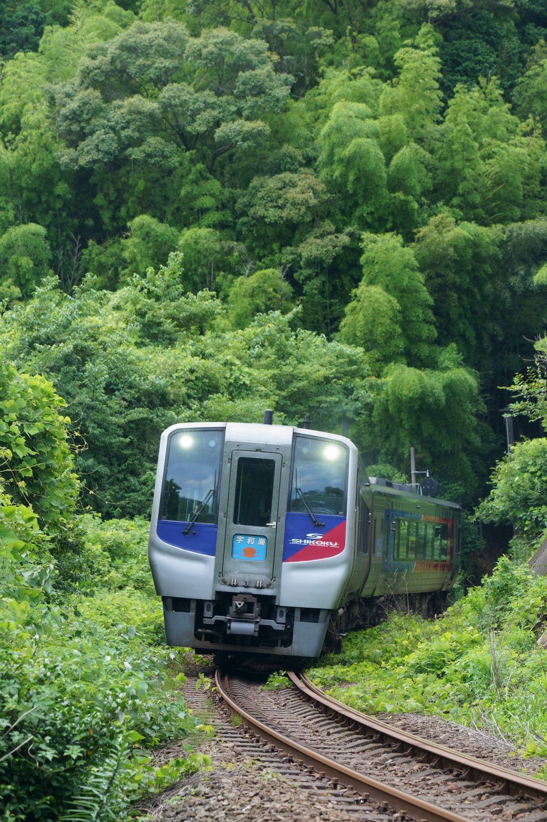 予讃線 1062D特急宇和海12号(立間駅→下宇和駅) 南風・しまんと・剣山 ちょこっと・・・