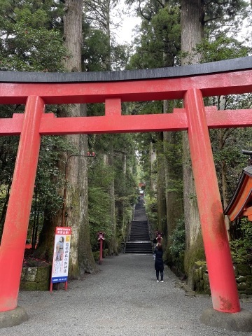 箱根神社と大涌谷_e0237625_16264263.jpg