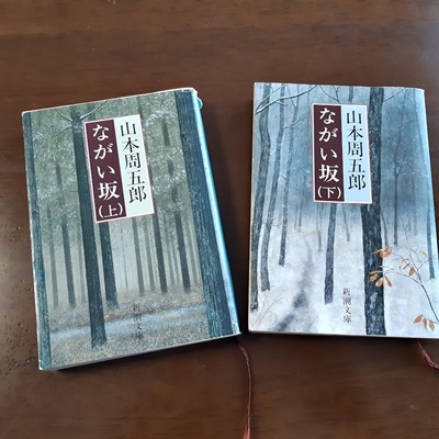 読書記録 覚え書き_f0129726_21223594.jpg