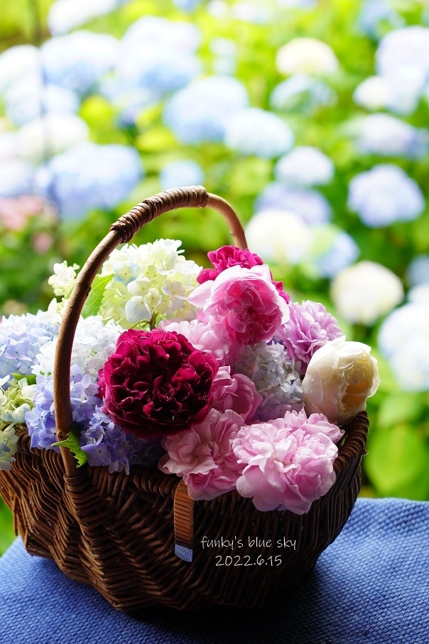 庭のブーケ*　（薔薇と紫陽花のころⅣ・６月１４日＆１５日）_c0145250_10181627.jpg