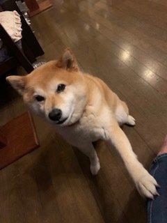 2022 6月28日㈫ はれ_f0210811_18311071.jpg