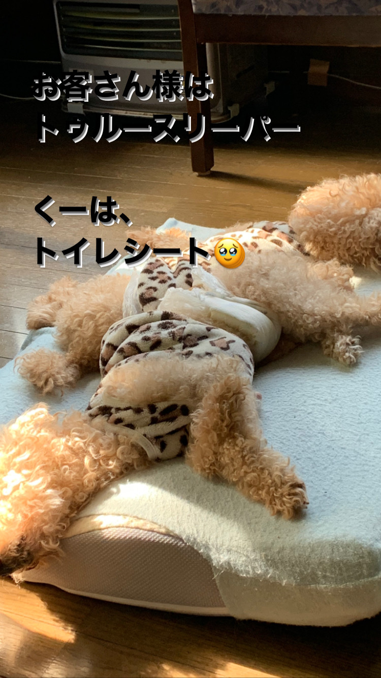 2022 6月28日㈫ はれ_f0210811_18333885.jpg