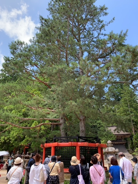 初《ゆの里ー丹生都比売神社、高野山ツアー》レポートその2_c0125114_09514742.jpg