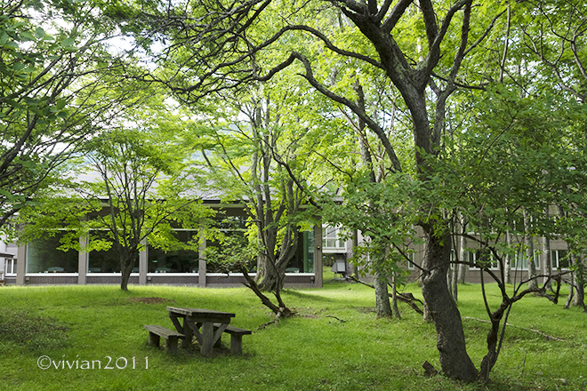 奥日光 休暇村 日光湯元　～県民一家族一旅行～_e0227942_21543235.jpg