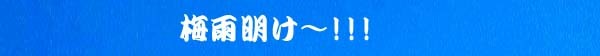 梅雨明け～!!!,、。　　　　　　　　　　Ｎｏ．2210_d0103457_13142371.jpg