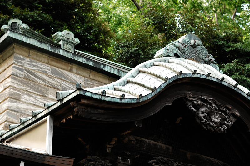 NIKON D2Xを持って近所を散歩_d0394696_22341243.jpg