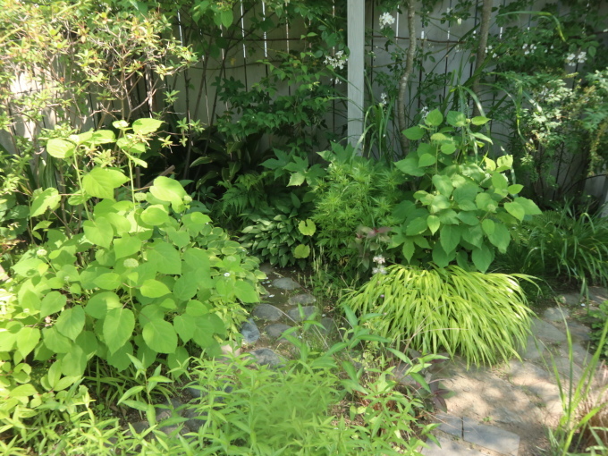 添乗員気分で同行させていただきましたぁ~！！･････その４_b0331802_23015743.jpg