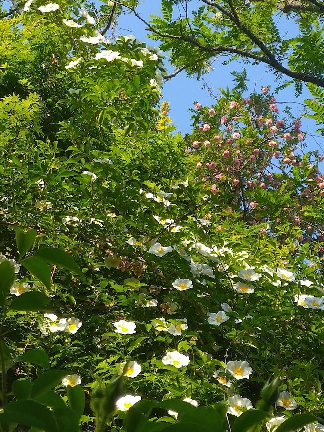 添乗員気分で同行させていただきましたぁ~！！･････その４_b0331802_23130402.jpg