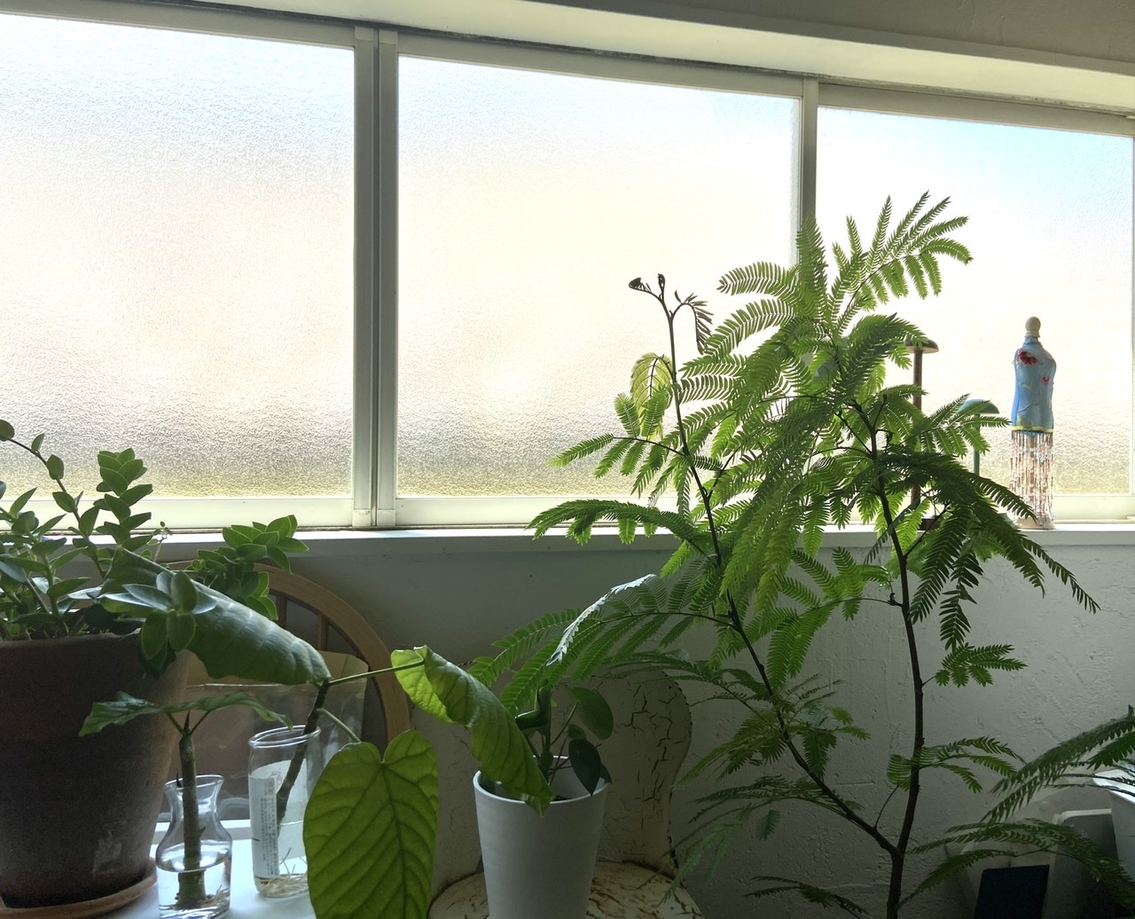 暑い夏が来た！_b0018004_11440406.jpeg