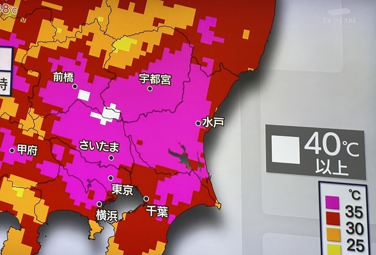猛暑も厳しいけど、暮らしも厳しい…!!_c0212604_07372319.jpeg