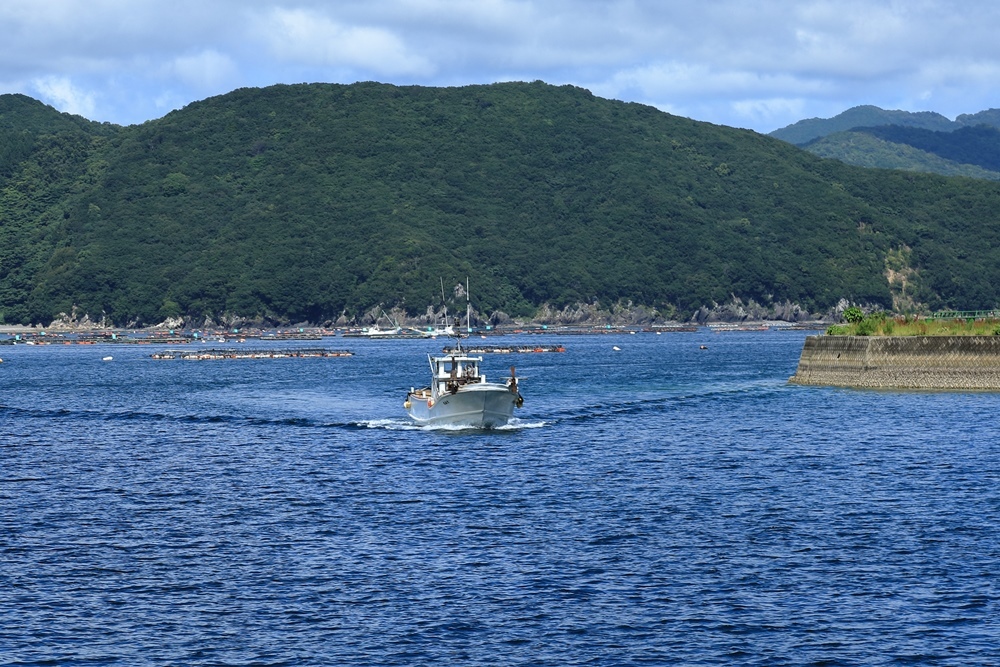 今日も真夏日_a0057905_16071840.jpg