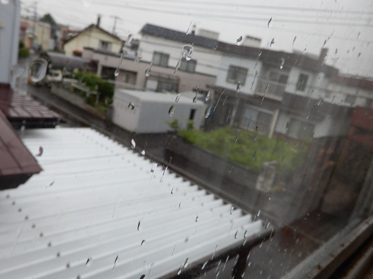 梅雨は続く_c0025115_21332415.jpg